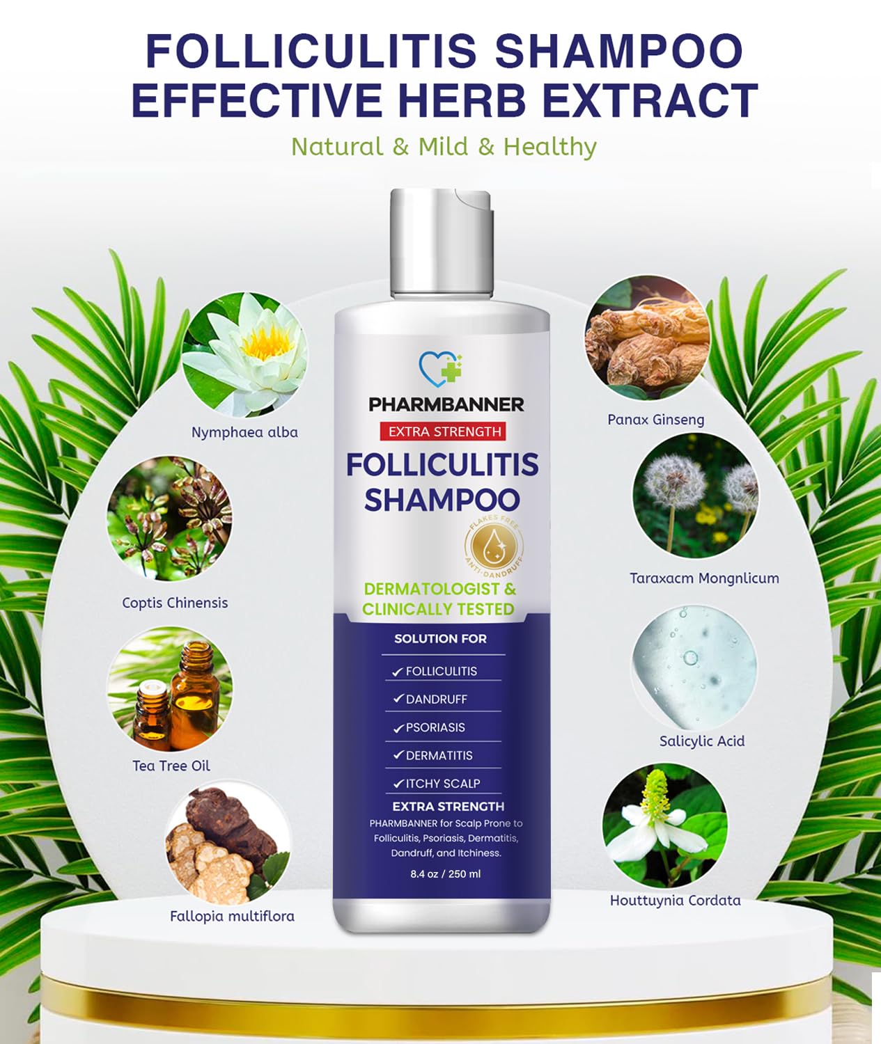 PHARMBANNER Anti-Fungal Shampoo for Folliculitis, Seborrheic Dermatitis, Scalp Psoriasis - Relieves Itchy & Dry Scalp